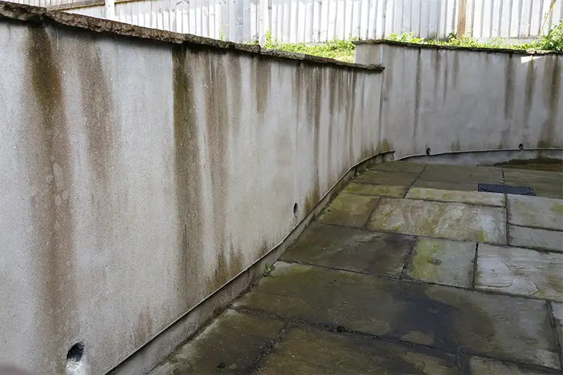 Rendered wall and patio before cleaning — green algae and dark staining